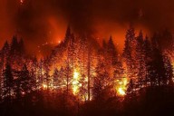 Incendios en Italia afectan un 60 por ciento más de hectáreas en 2025