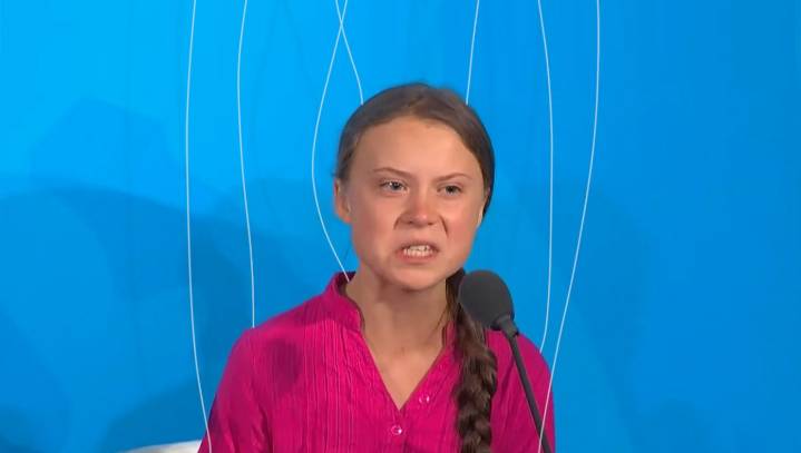 Marionette Strings Clearly Visible During Greta Thunberg Testimony