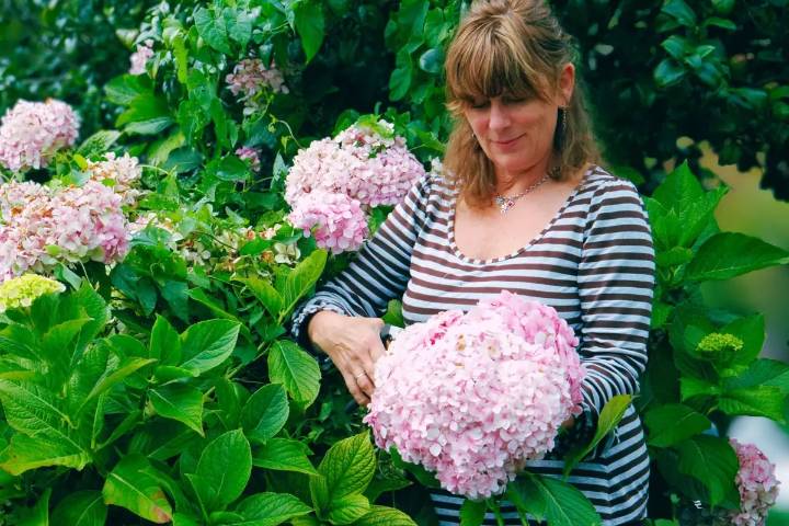 Is It Okay to Pick Flowers from Someone Else’s Property Without Permission in Indiana & Kentucky?