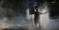 Las legiones de Décimo Junio Bruto conquistan a los límicos