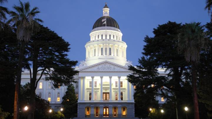 States take the lead in AI regulation as federal government steers clear