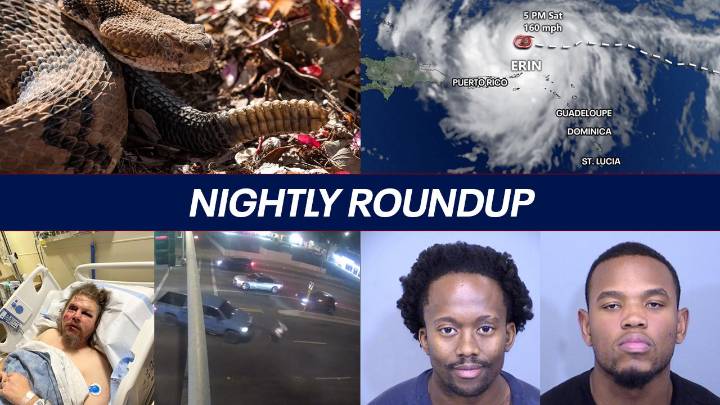 Hiker suffers deadly rattlesnake bite; Glendale veteran survives hit