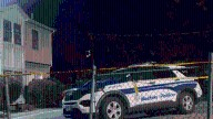 Boston MA dog attack last night in Dorchester