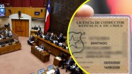 Ley Jacinta avanza en el Senado: Estos serían los nuevos requisitos para la licencia de conducir