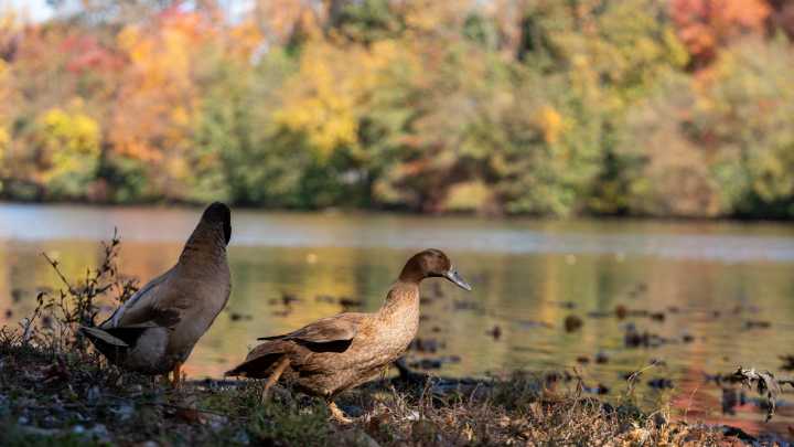 What to expect for September weather in North Jersey