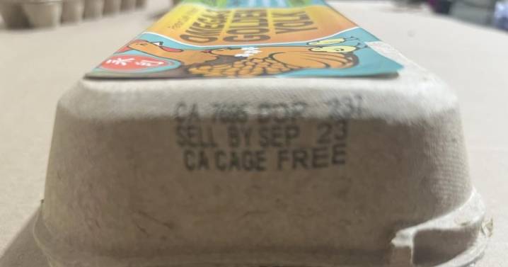 Eggs implicated in 14-state salmonella outbreak; FDA investigating