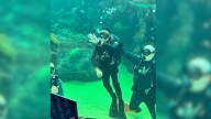 Aquarium volunteer celebrates 85th birthday with her last dive