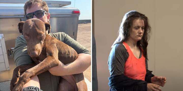 Woman arrested days after 12 dogs found neglected in Tonopah