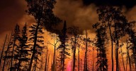 Rural counties in Utah demand better forest management to ward off wildfires