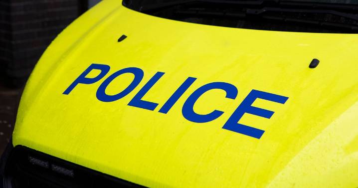 Two officers sacked after man, 34, died in police van