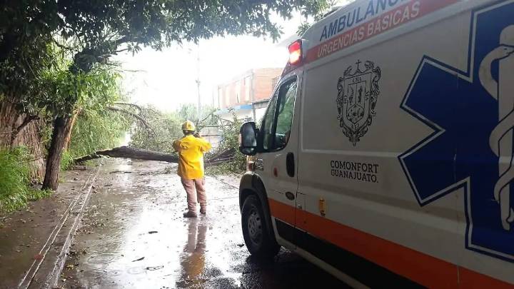 Dos pastores pierden la vida al ser alcanzados por un rayo en Comonfort