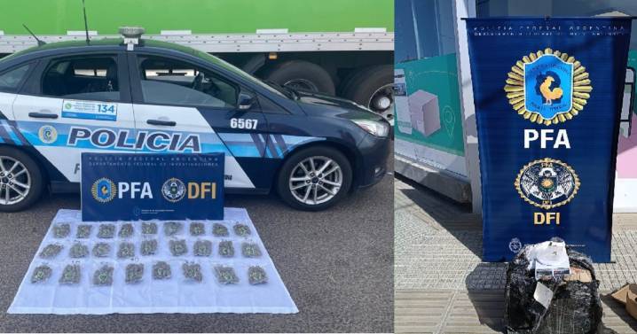 De Misiones a Neuquén, así envían droga por encomiendas: detectan dos casos similares en 48 horas
