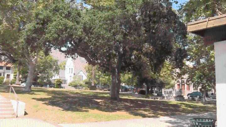 Experts recommend shade-giving trees to keep SoCal communities cool