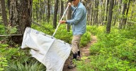 Ticks are migrating, but scant surveillance may leave doctors in the dark on patient treatment