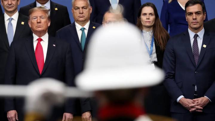 Trump y la crisis de las latas de atún: ¿una oportunidad para los conserveros españoles?
