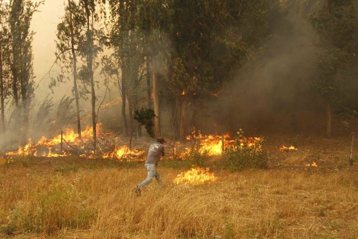 Nueva ministra de Agricultura ratifica urgencia de pronta tramitación de ley de prevención de incendios forestales