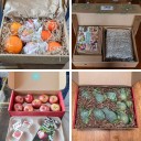 5 Best Fruit of the Month Clubs for Snacking & Gifting