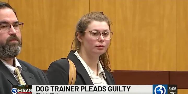 Haddam dog trainer pleads guilty to animal cruelty after dog’s death