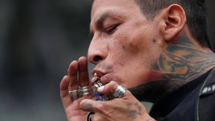La potencia de la marihuana legal en Canadá se ha multiplicado por cinco en 20 años