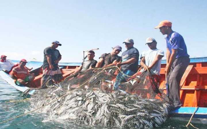 Pescadores celebran la riqueza de la Venezuela Azul con pesca de atún