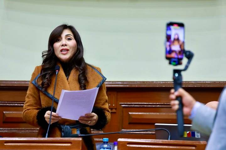 Dina Boluarte: suspenden denuncias pendientes en Subcomisión
