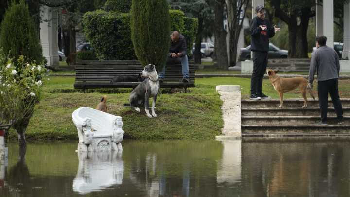 Tormenta en Rosario: teléfonos y recomendaciones clave para emergencias