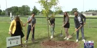 ‘First Down for Trees’ start planting in Brown County