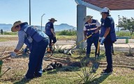 'Plantan vida' en parques de tres colonias