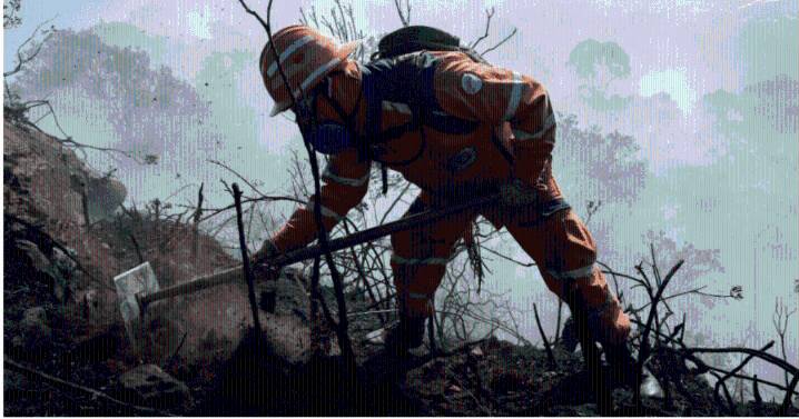 Alcaldía de Chapinero activa plan de contingencia contra incendios forestales