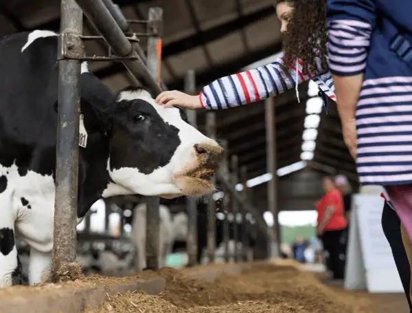 Florida Department Of Health Alert: Raw Milk Consumption Linked To Illnesses