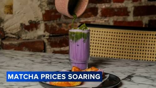 Matcha demand surges as TikTok trends drive shortages and price hikes