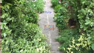 Take in native garden tours at this annual…