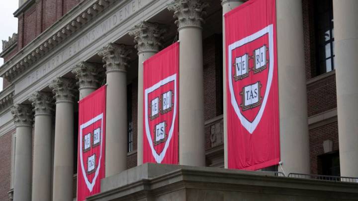 ‘Don’t negotiate, Linda’: Trump calls for $500 million Harvard settlement