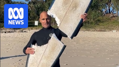 Calls for more drone patrols to guard against shark attacks on NSW north coast
