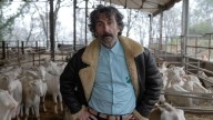 Luis Zahera vuelve a Netflix con una comedia muy salvaje: fecha de estreno, sinopsis y reparto completo de 'Animal'