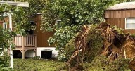 Friday afternoon's storm causes downed trees, power lines throughout the area