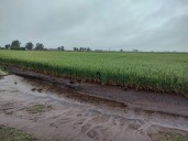 Pronóstico. Vuelven las lluvias, serán generalizadas, y alertan que en una región hay sequía