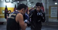 Power & Protection: Why Creatine Matters for Combat & Impact Sport Athletes