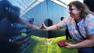 See photos of the 'Wall That Heals' Vietnam War Memorial in Nevada