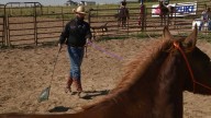 Brighton cowboy saving mustangs, one saddle at a time