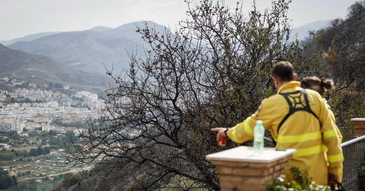 Las imágenes de la Fuente de la Bicha de Granada tras las llamas