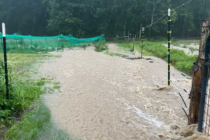 After a Drought Last Year, Ohio Farmers Wished for Rain. Now Downpours Are Destroying Their Crops