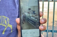 En su cumpleaños, joven tijuanense lucha por su vida tras picadura de garrapata