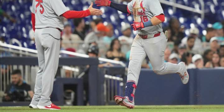 Cardinals snap 5-game losing streak with 8