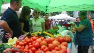 "La seca" afecta al Certamen de la Huerta de Posada