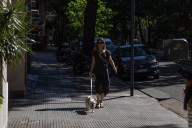 Perros intoxicados en Palermo. Qué se sabe hasta el momento y por dónde recomiendan no pasear con mascotas