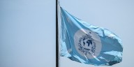 Interpol emite ficha roja para Zhi Dong Zhang, el chino ligado a cárteles