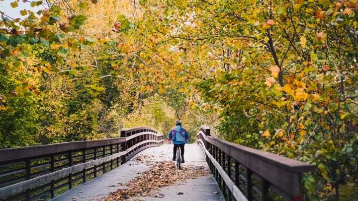 Missouri weather: What does the Old Farmer's Almanac predict for fall?