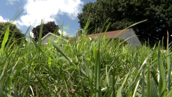 Taking care of your lawn as cooler temperatures arrive