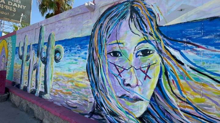 Artistas plásticos realizan homenaje a Tribu Seri